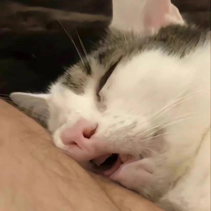 LIM-