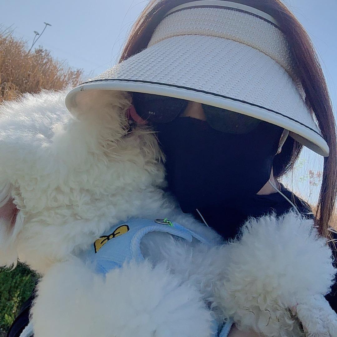 杨洁