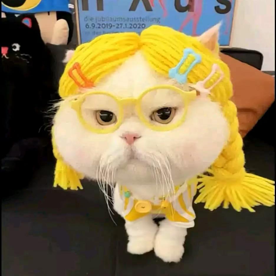 ෆ  O泡果奶 ᰔᩚ