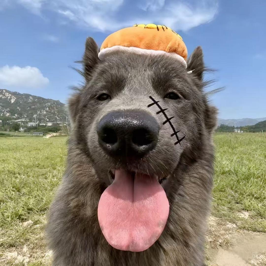 小周在减肥