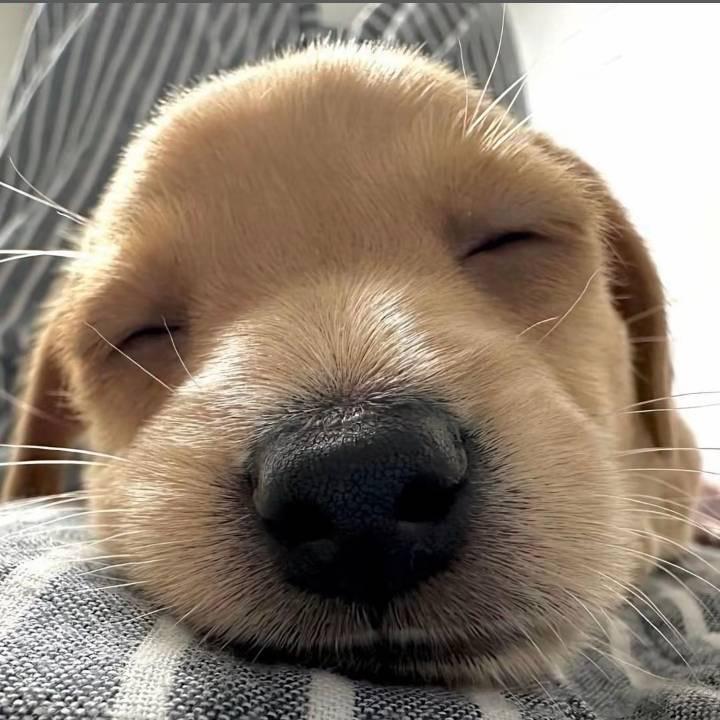 笑游