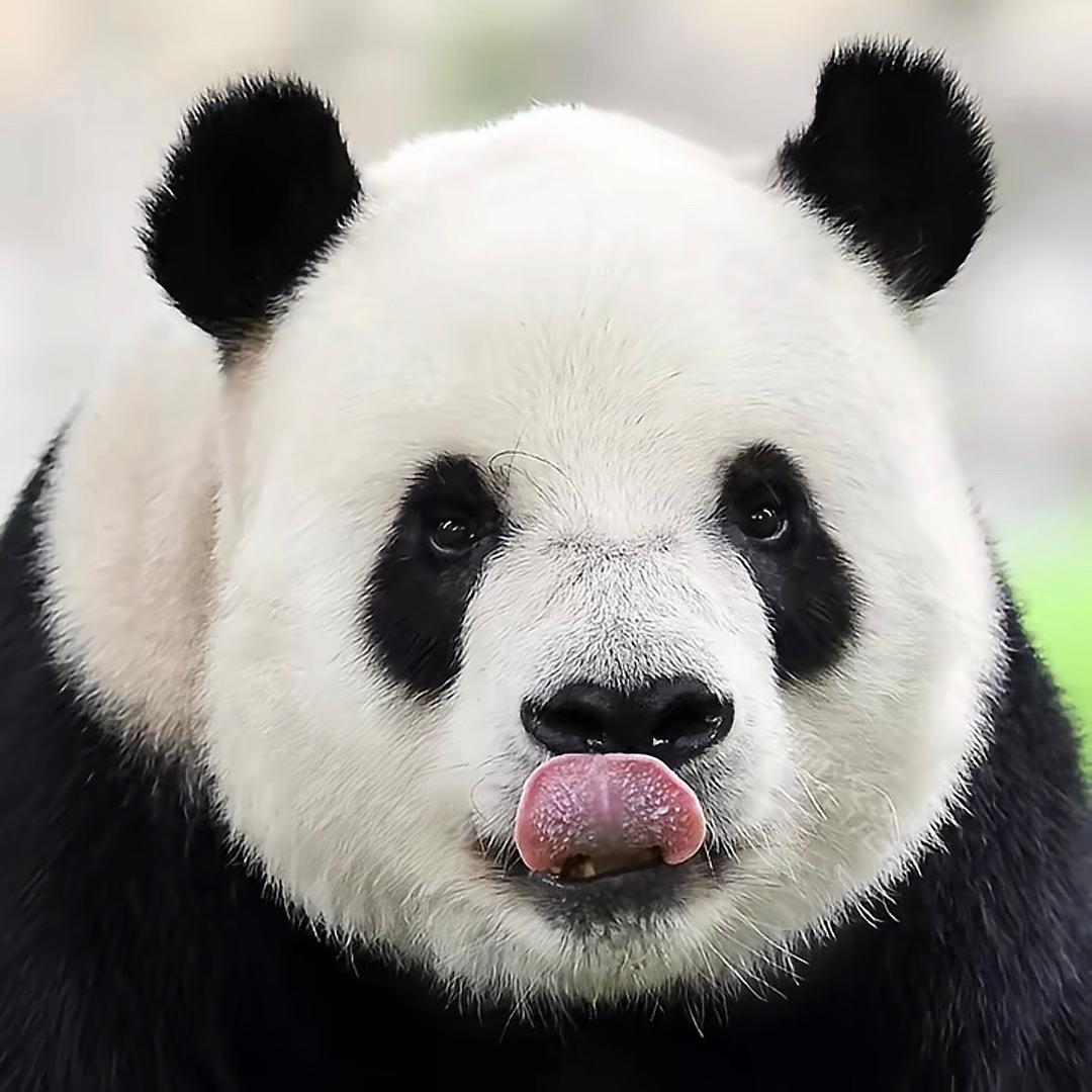 🍀颜一香🌱🌸