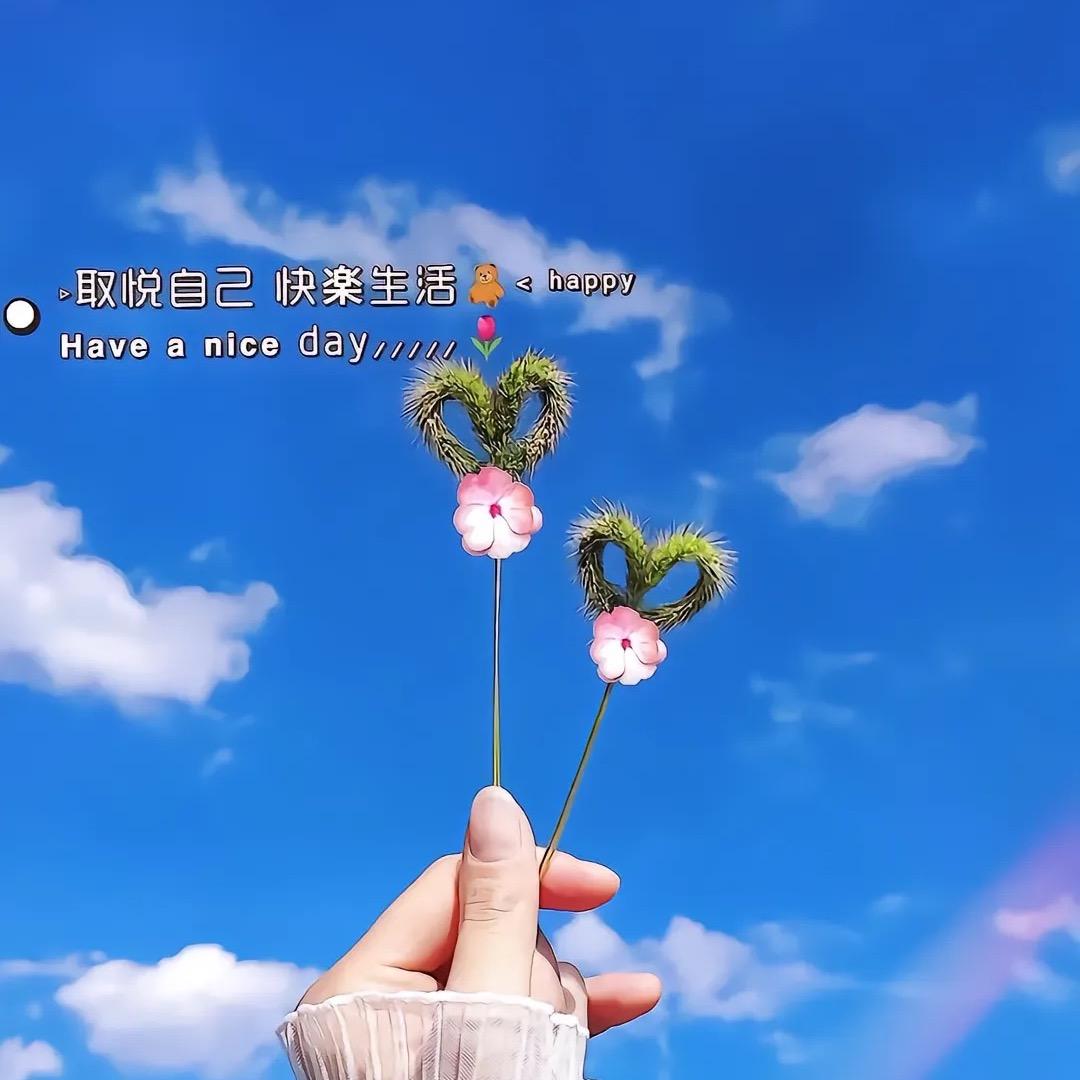 提拉米苏