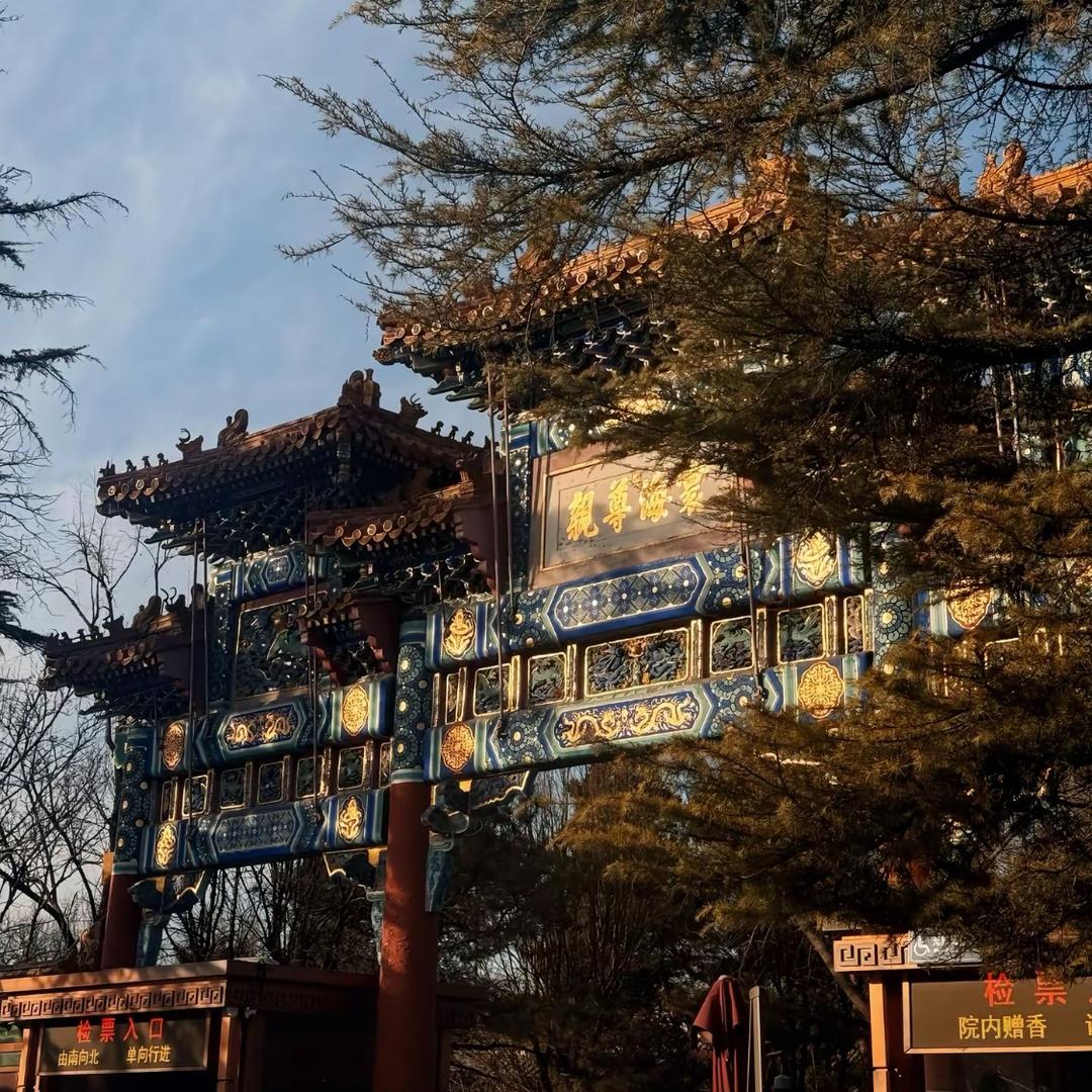 红雨他妈瓢泼泛起了他妈回忆怎么他妈潜