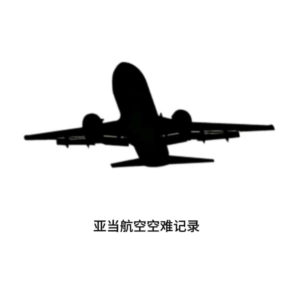 亚当航空空难记录