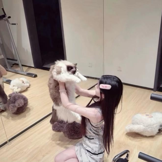 琦琦