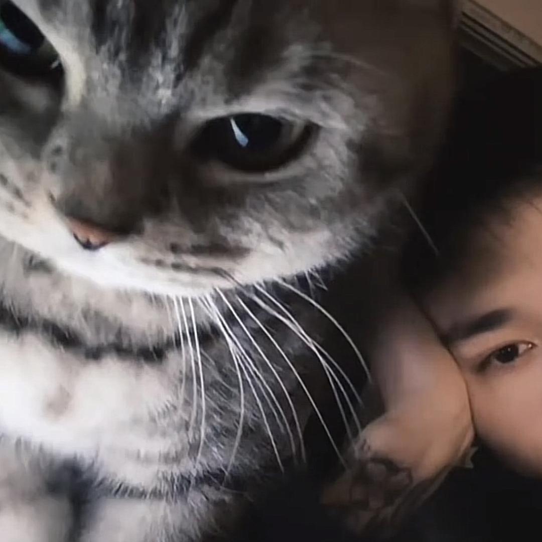 困得睡不醒