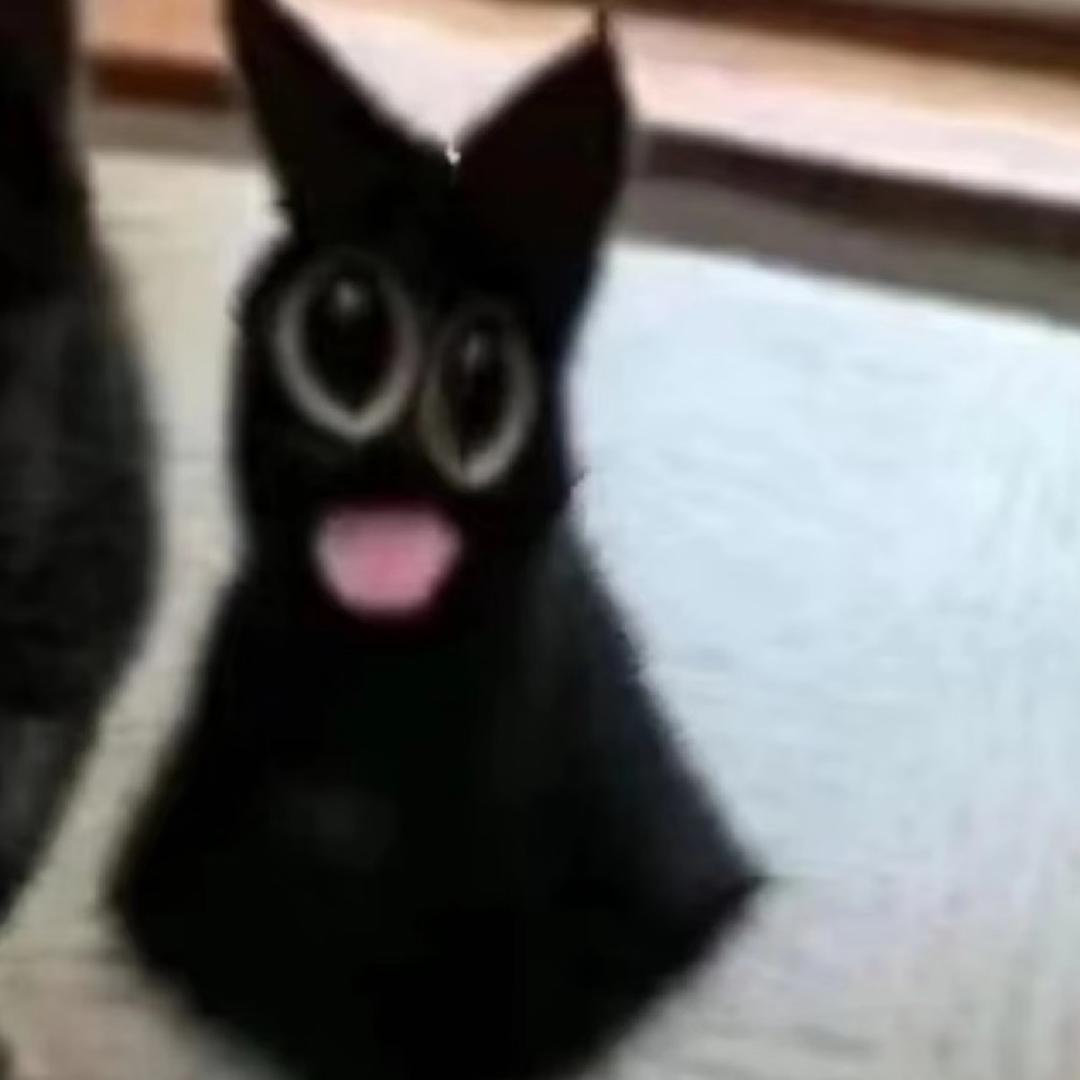 hhhh