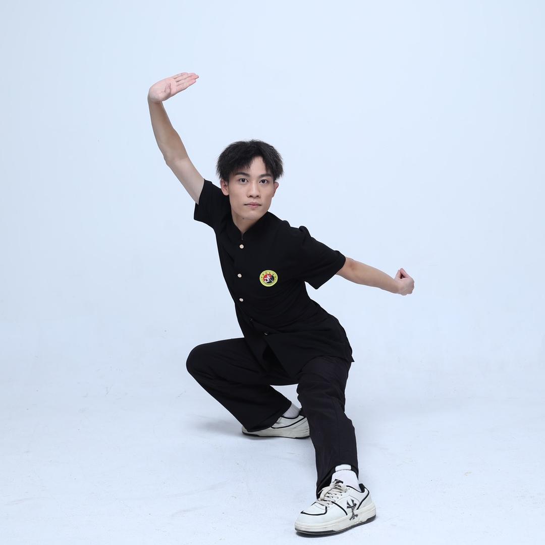 龙腾武一功夫·向问天