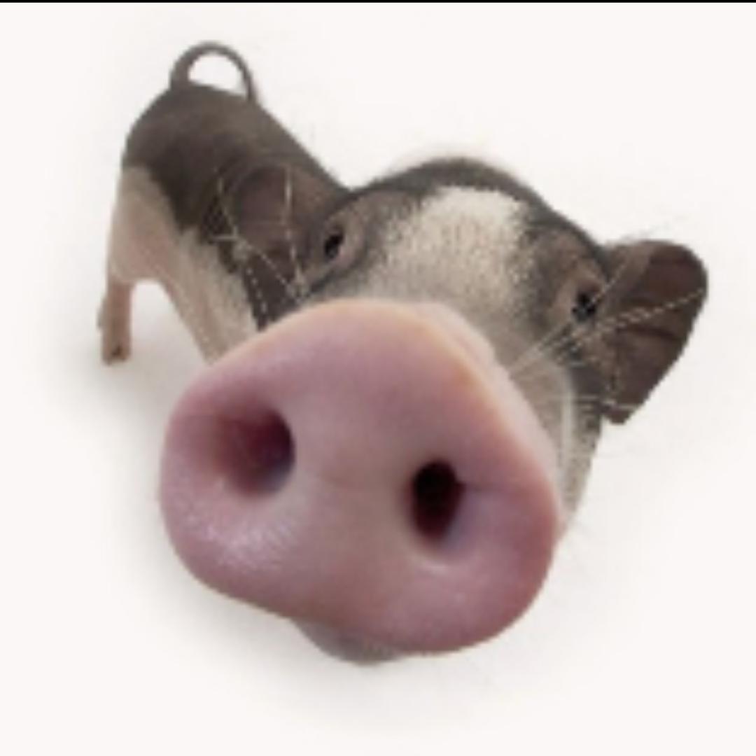 六安响当当二手家具家电市场