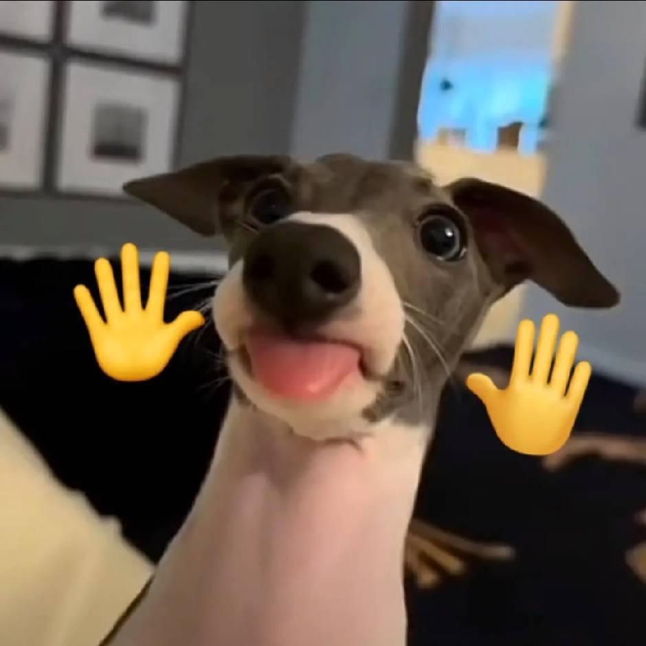 哇