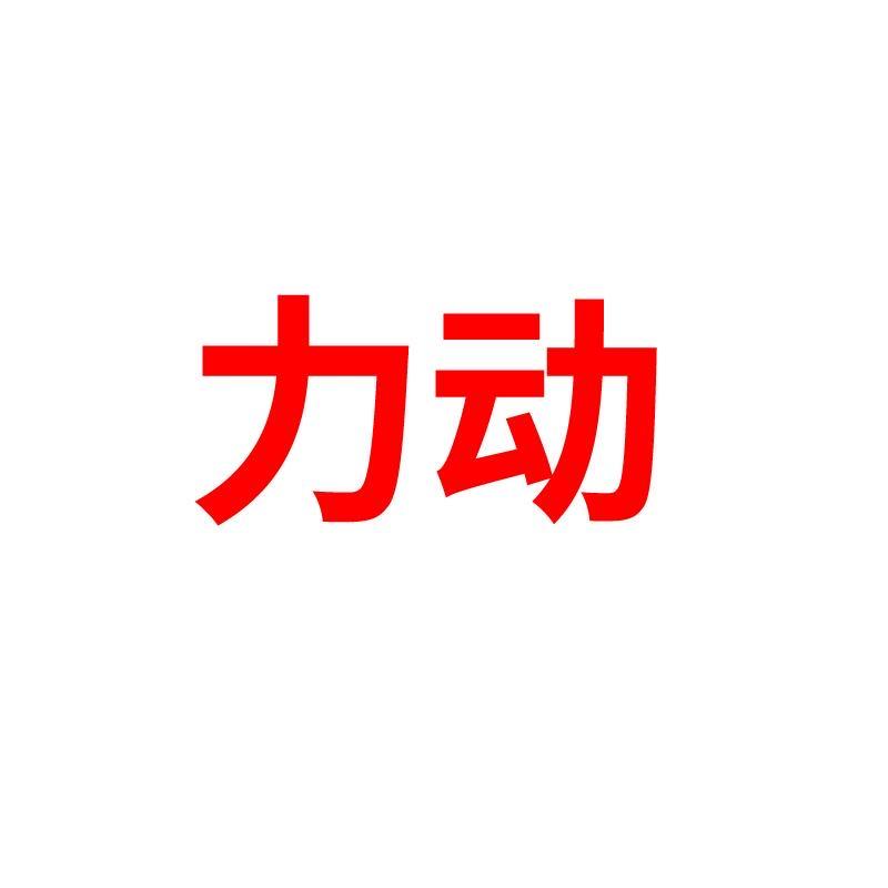 力动体育专营店