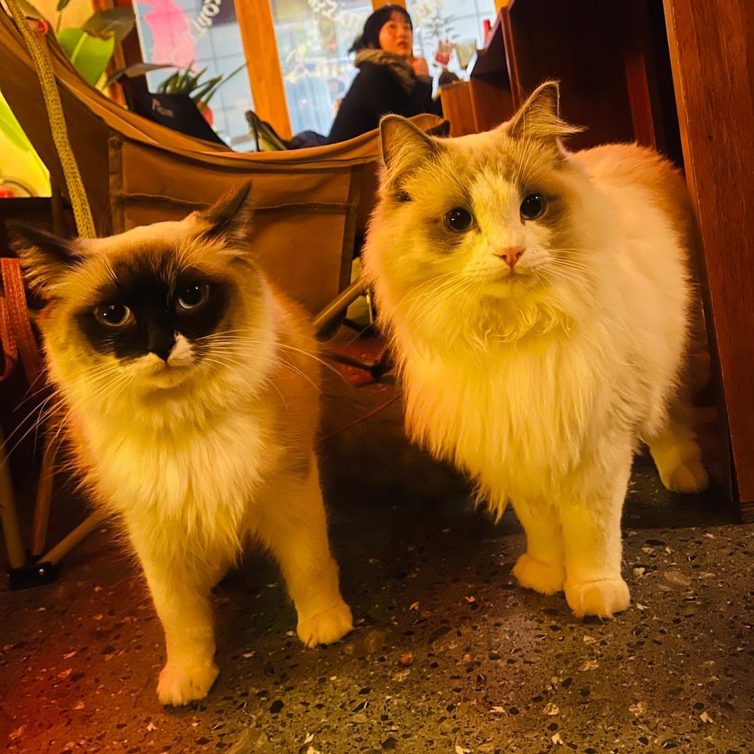 叫什么都无所谓🫤姐