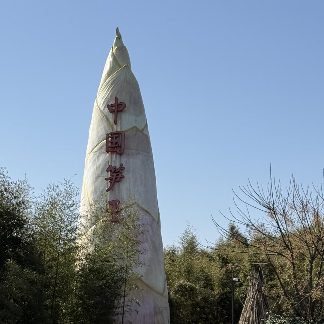 齐天大笋