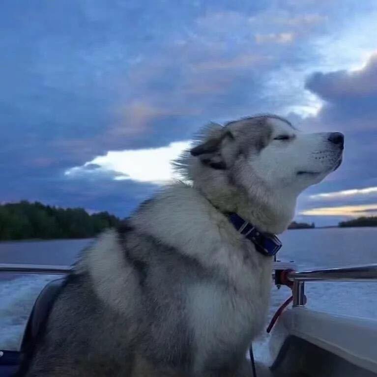 做一个生活的高手