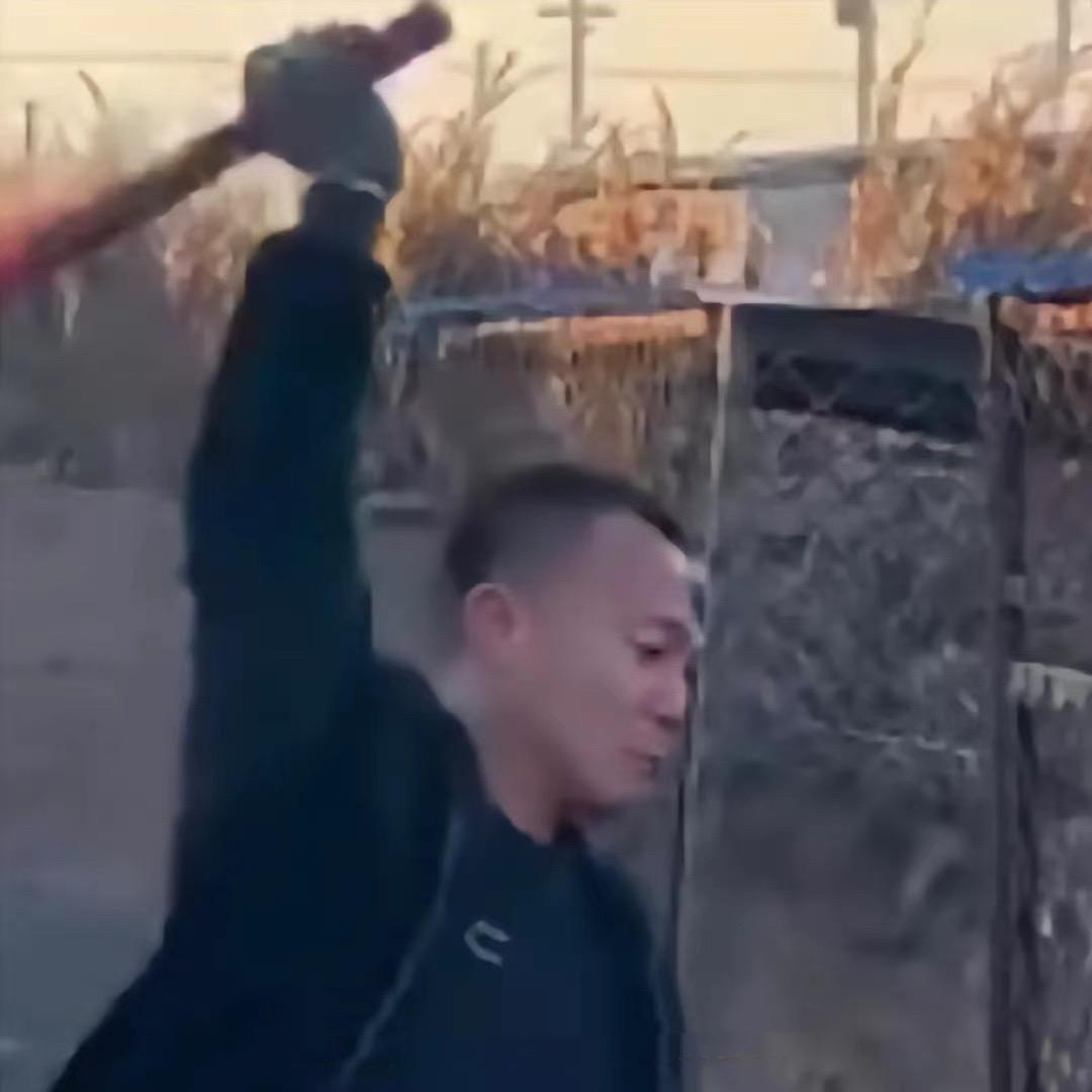 潘宏玩狗日记（已授权）