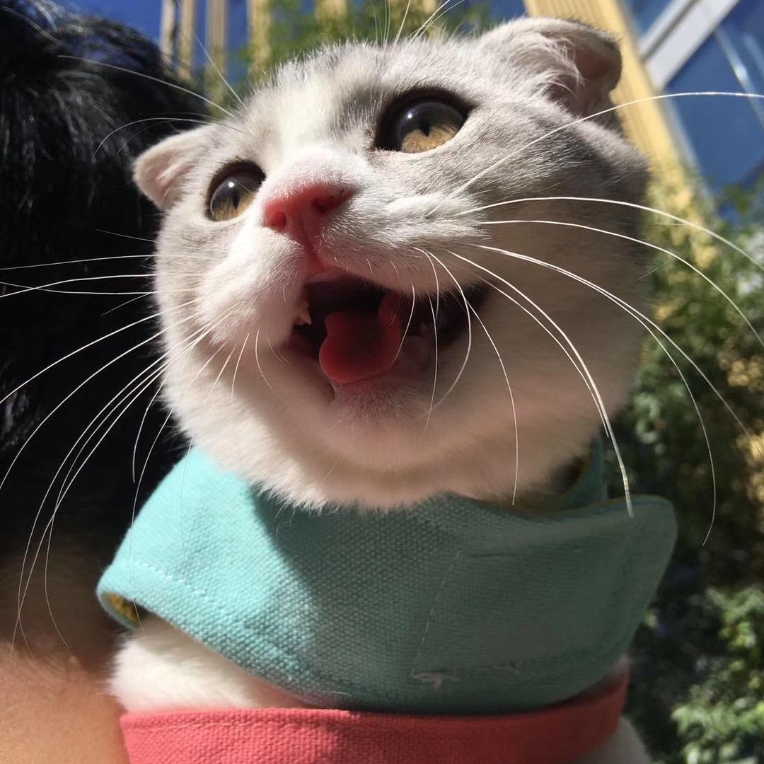 鹿先森