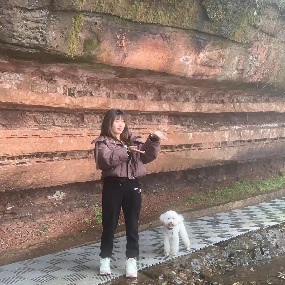 小燕子