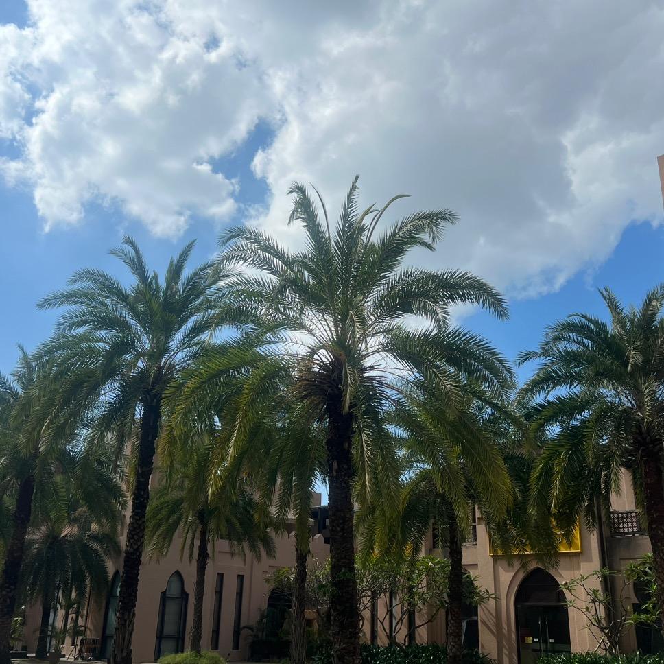 披着床单扮仙女