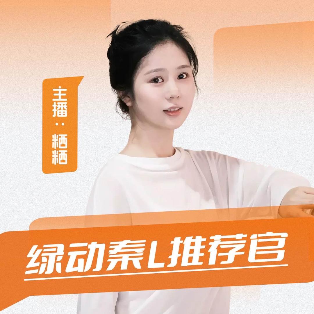 比亚迪王朝绿动天崃