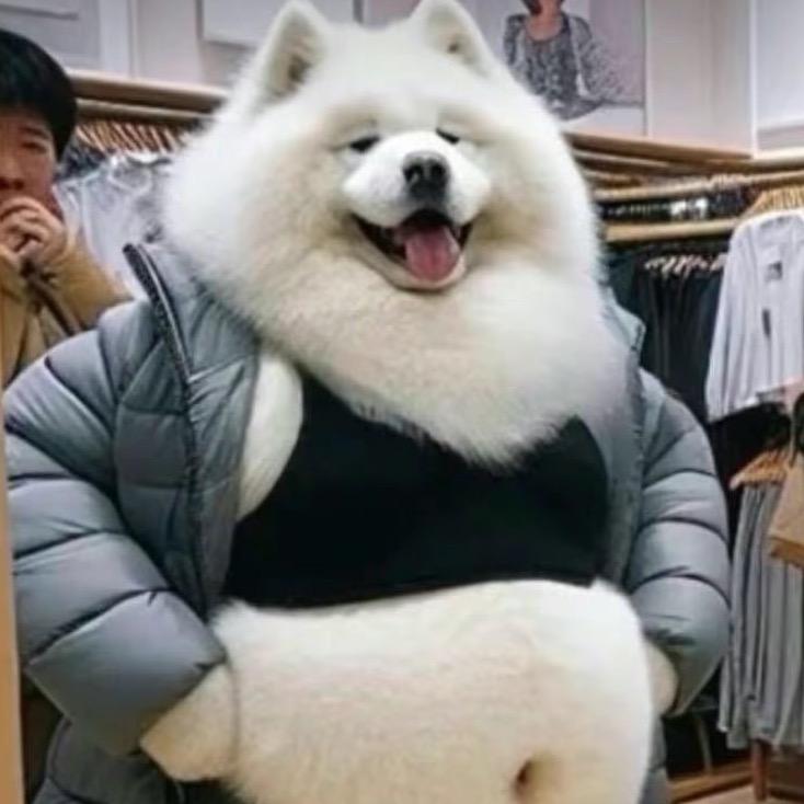 笨小孩👶