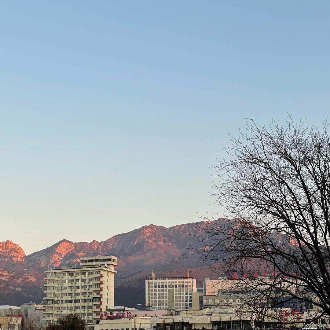 心系天下折叠屏