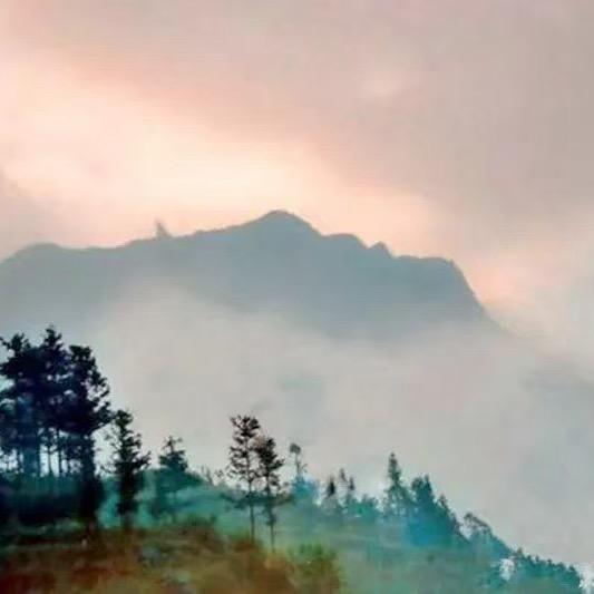 开心快乐每一天