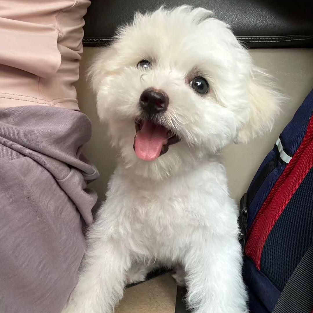 向阳