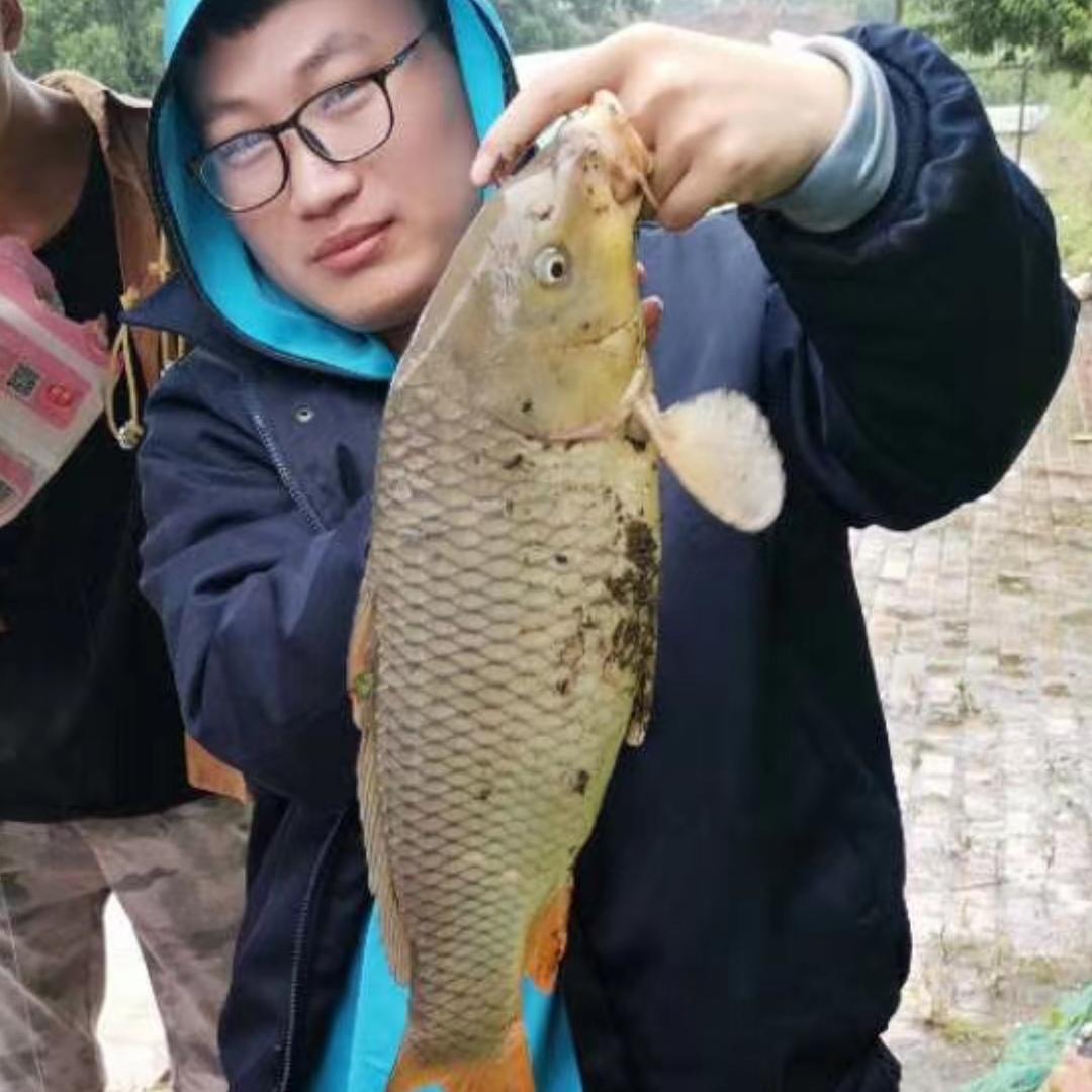 葛航