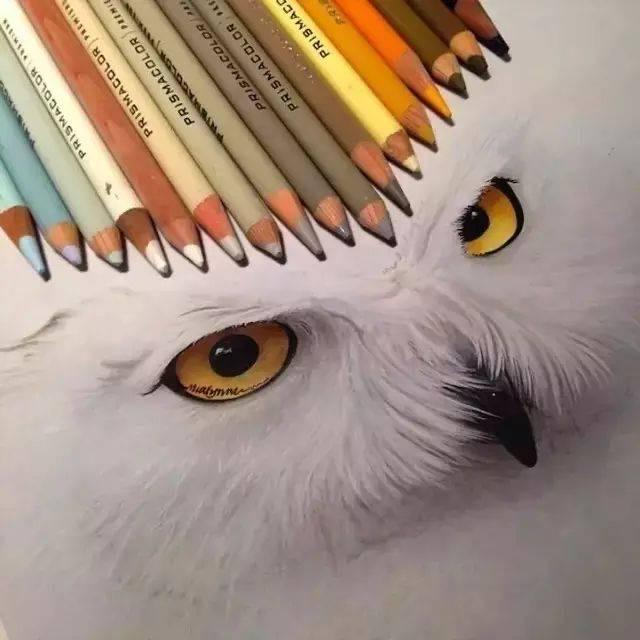 郑小松沙画
