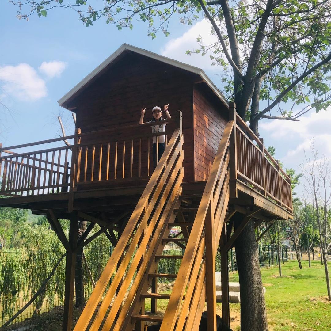 小老虎🐯🐯🐯