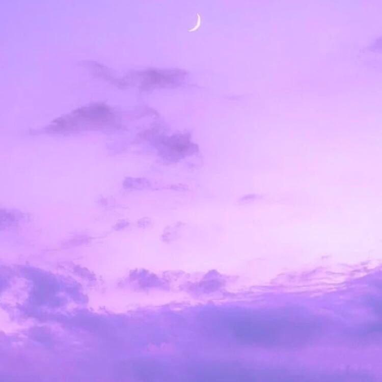 🌈分享晚秋🌈（礐嶨必有票版）