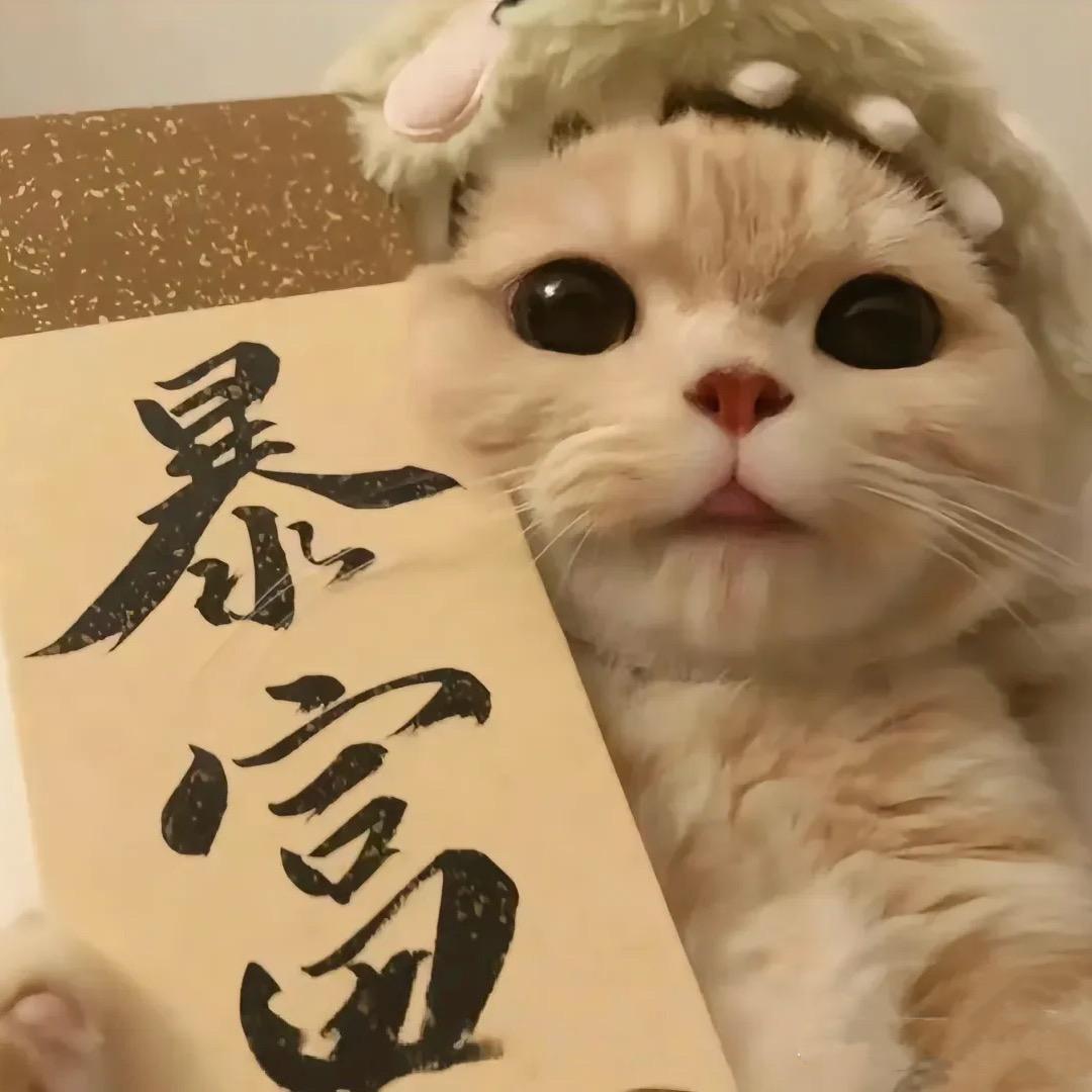 娇宝儿