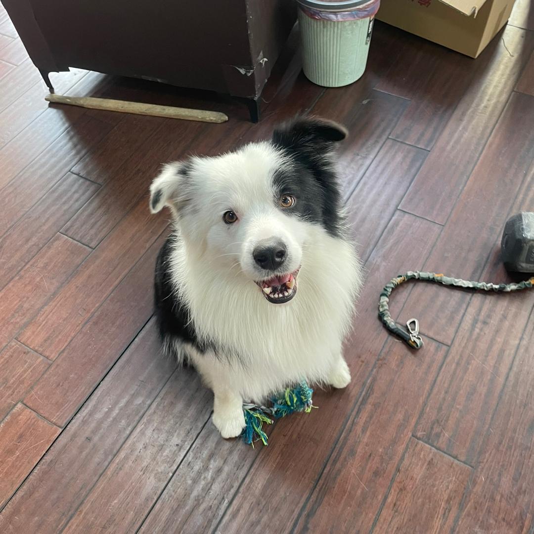 高端木皮木饰面制造商