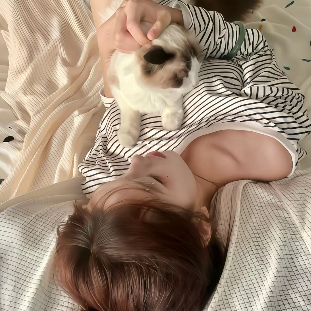 蛋丹蛋丹