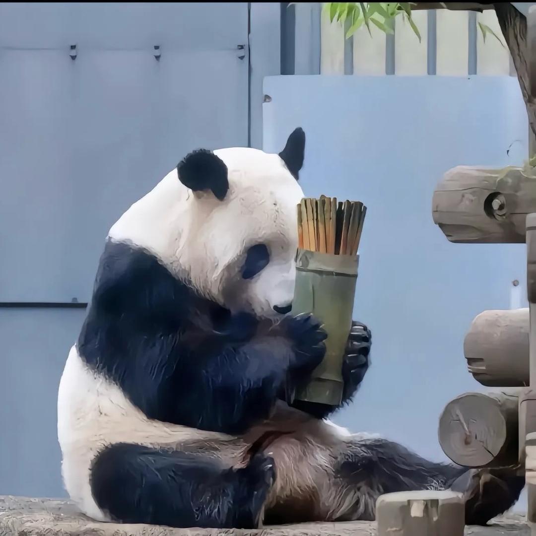 一地鸡毛🤡