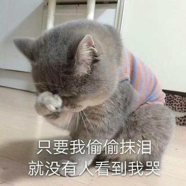 用户19243862