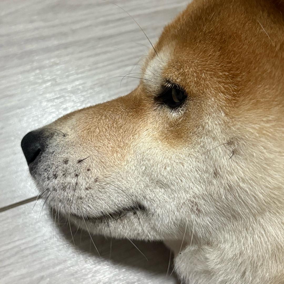 NowRider <驾驭当下>