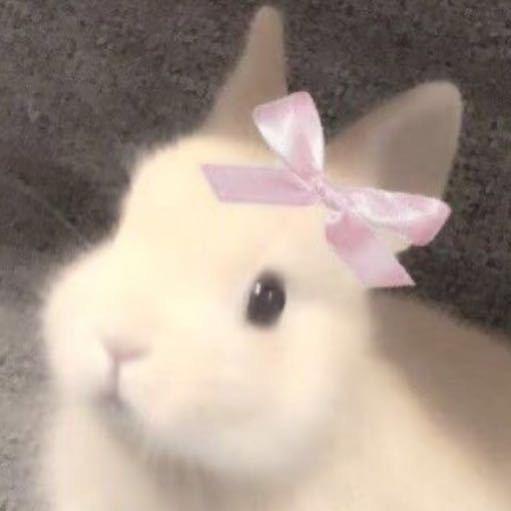 睡不着