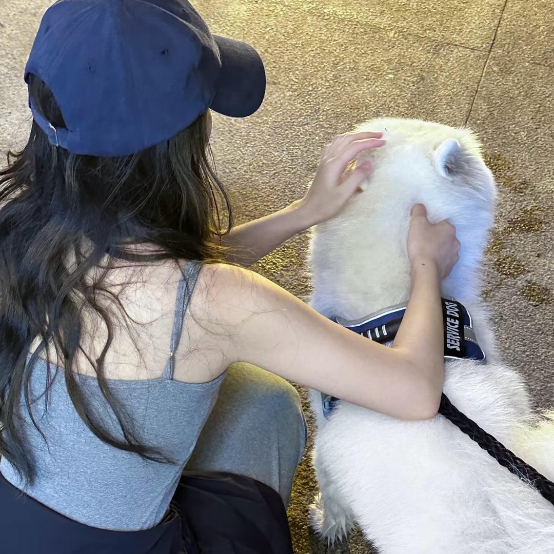 好运小狗