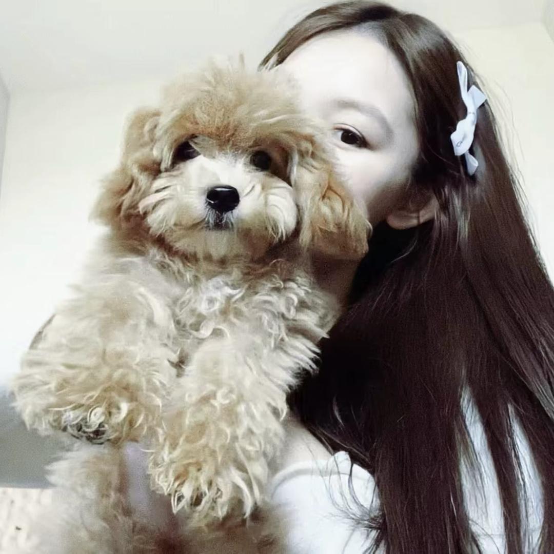 好呀