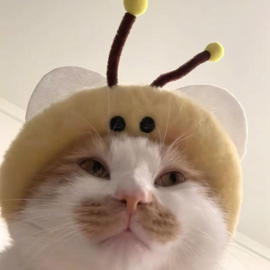 少了一根毛