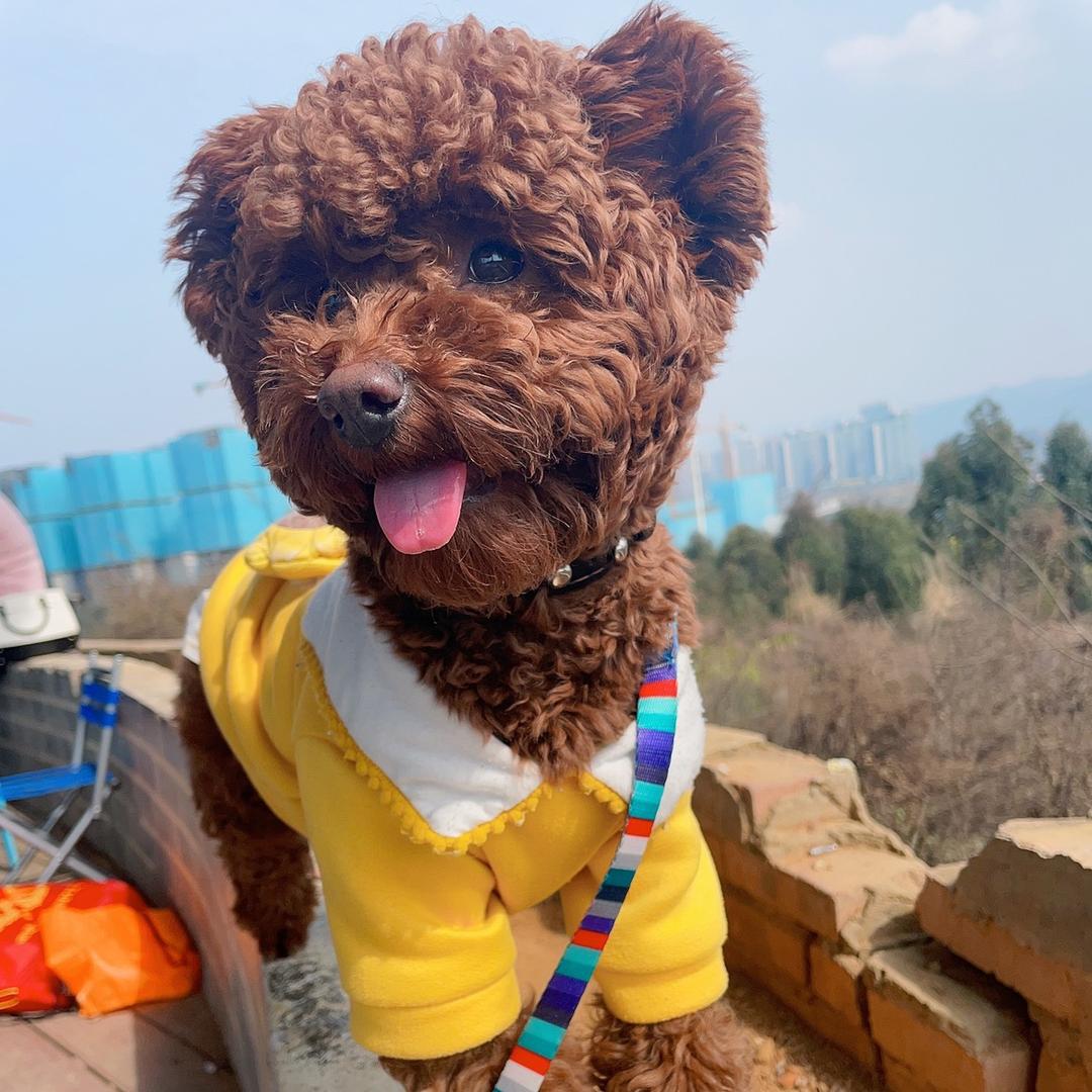 咿昻🐏🐏🐏
