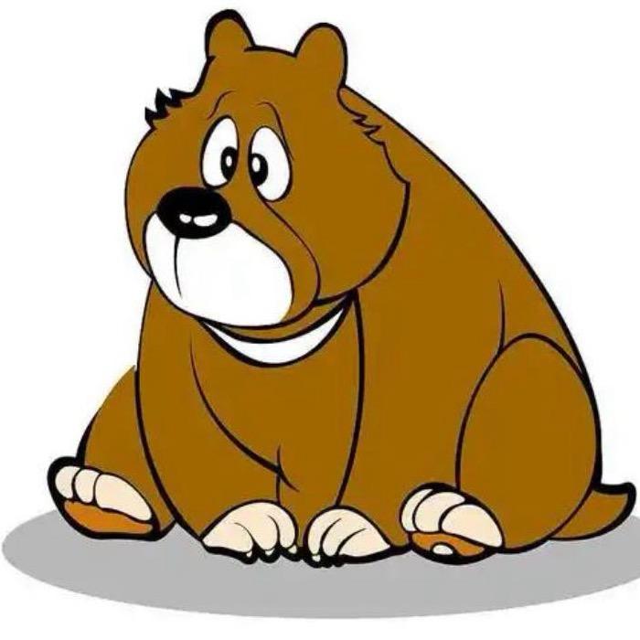 浣熊🐻