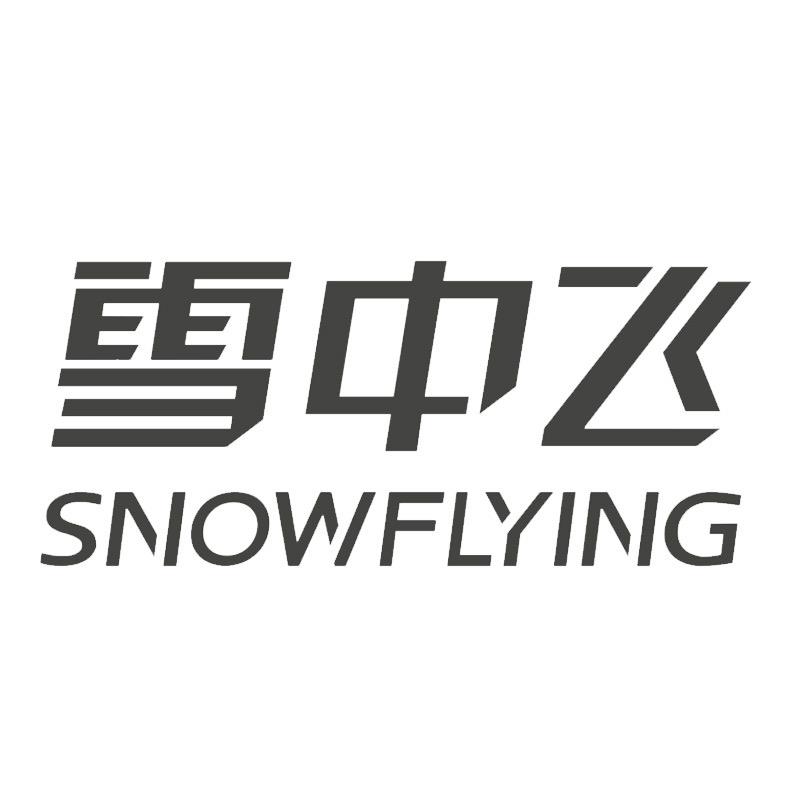 雪中飞服饰休闲男装专卖店