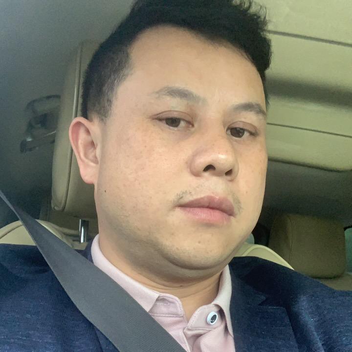 杨歌