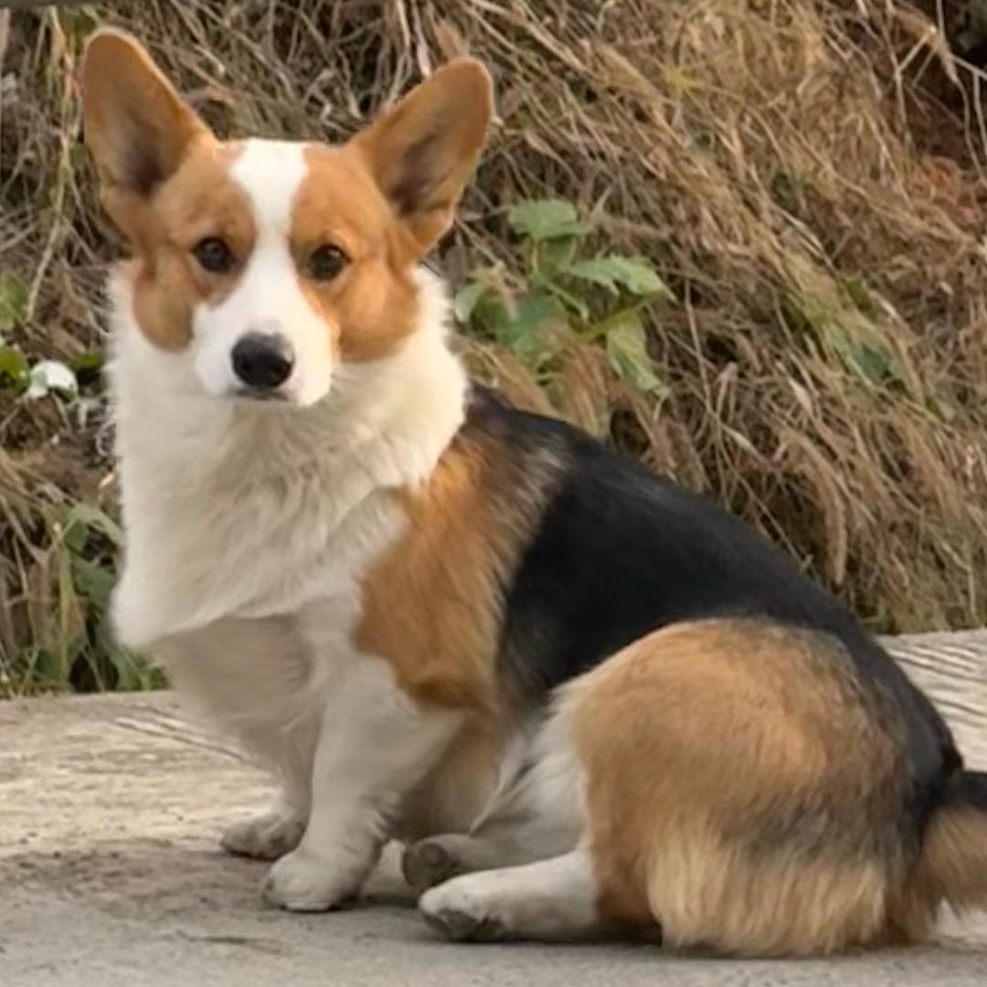 海斯基的农村生活