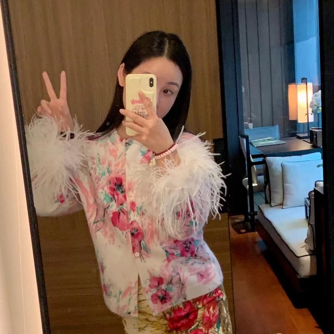 一只嘟嘟兽