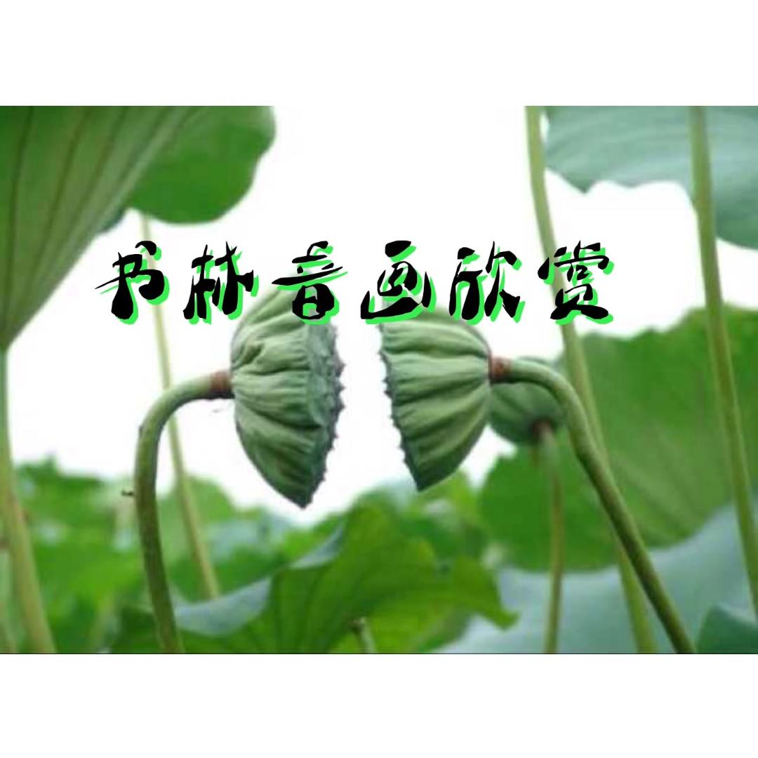 书林