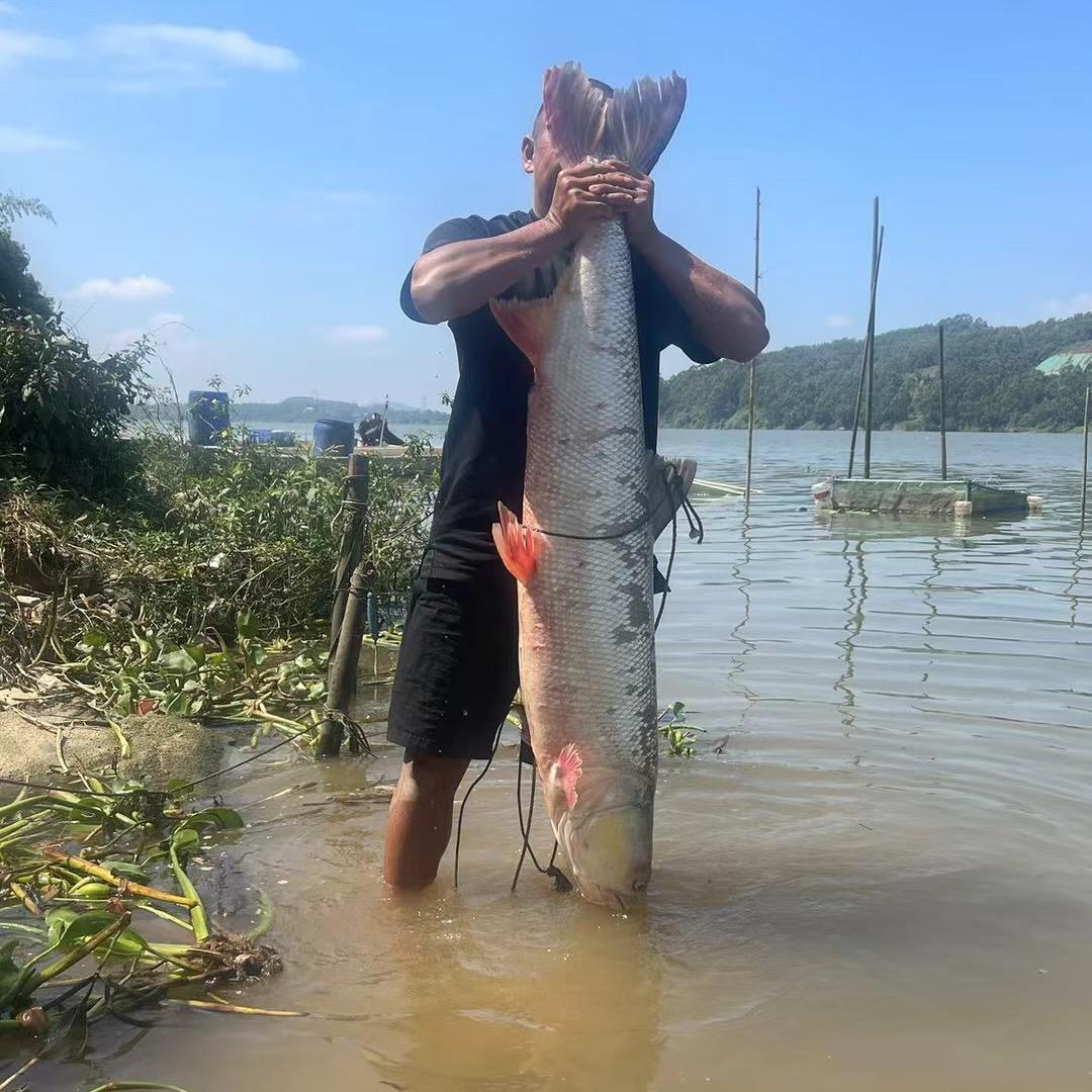 东江鸡哥野钓户外🎣